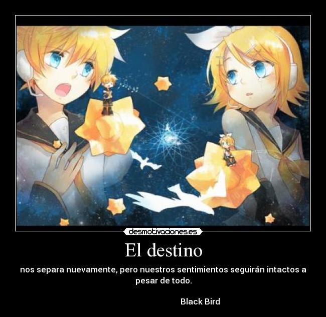 El destino - nos separa nuevamente, pero nuestros sentimientos seguirán intactos a
pesar de todo.
Black Bird