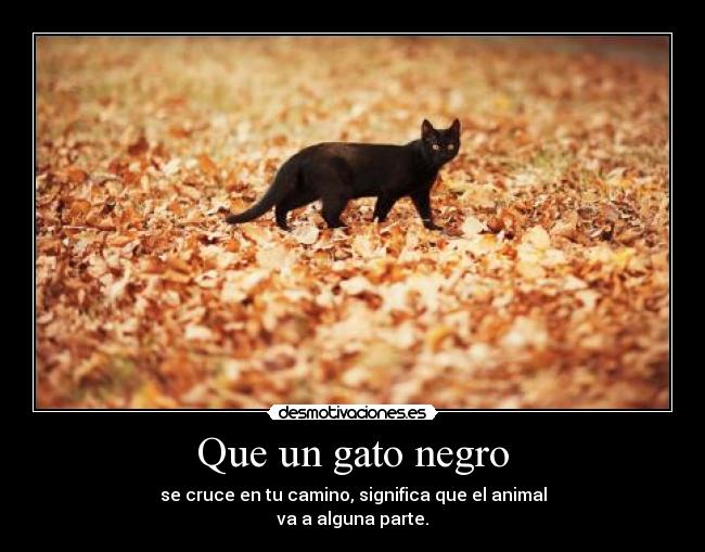 carteles supersticion desmotivaciones