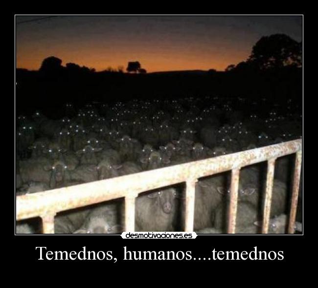 Temednos, humanos....temednos -