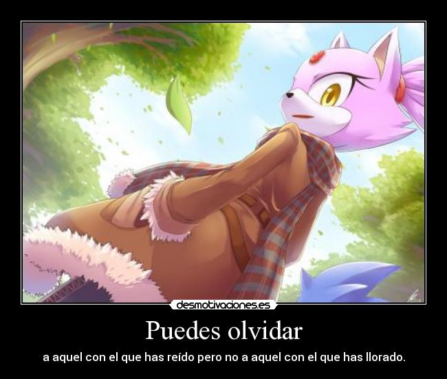 Puedes olvidar - a aquel con el que has reído pero no a aquel con el que has llorado.