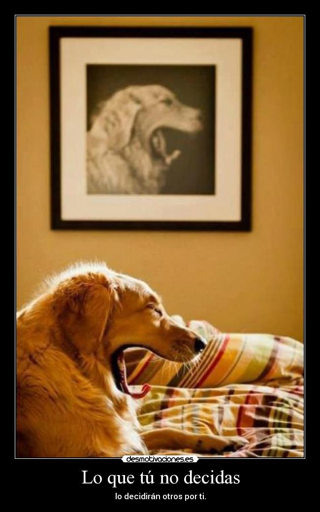 Lo que tú no decidas - 