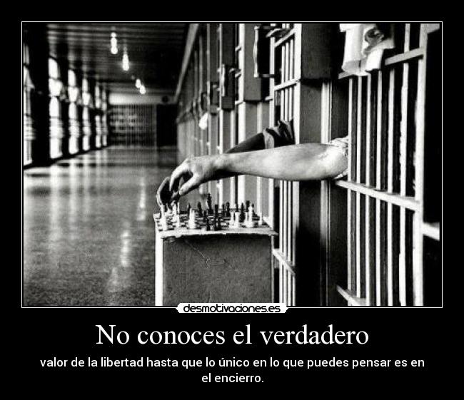 No conoces el verdadero - valor de la libertad hasta que lo único en lo que puedes pensar es en el encierro.