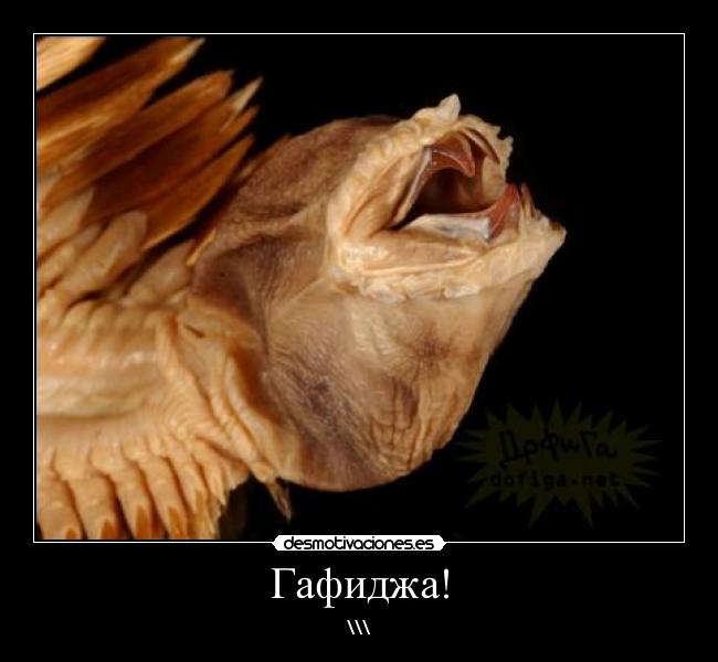 Гафиджа! - \\\