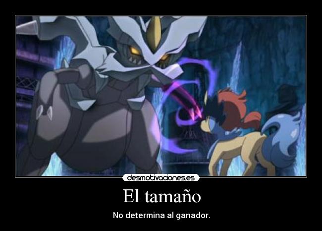 El tamaño - 