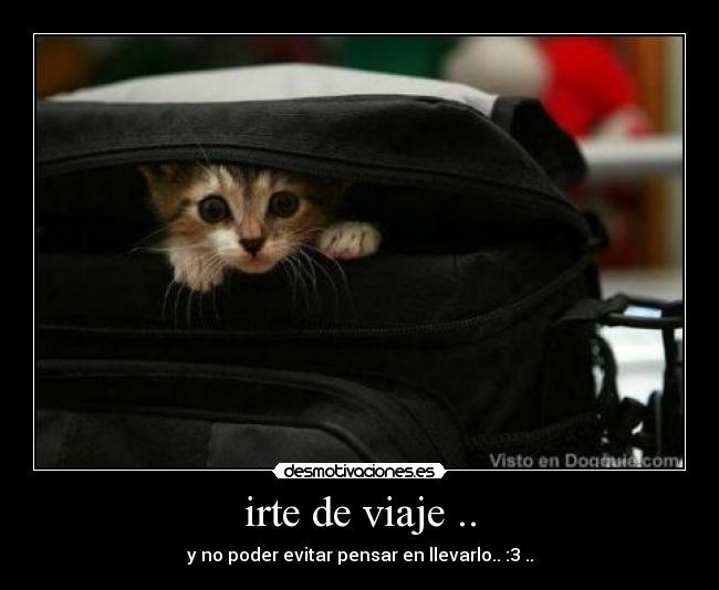 irte de viaje .. - y no poder evitar pensar en llevarlo.. :3 ..