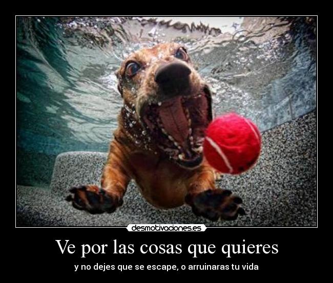 Ve por las cosas que quieres - y no dejes que se escape, o arruinaras tu vida