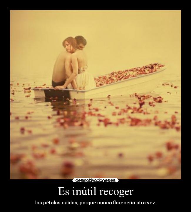 Es inútil recoger - los pétalos caídos, porque nunca florecería otra vez.
