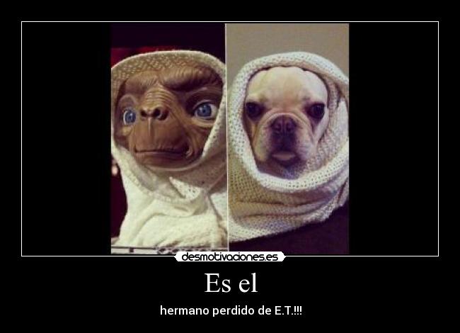 Es el - hermano perdido de E.T.!!!