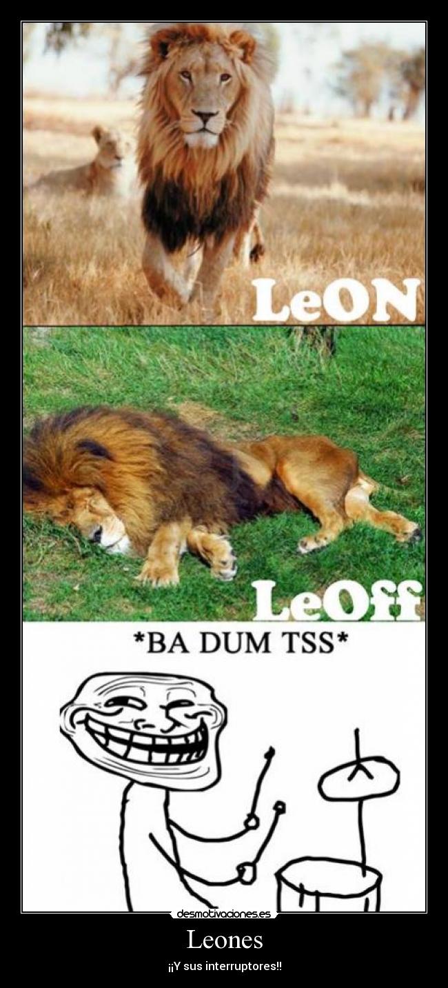 Leones -