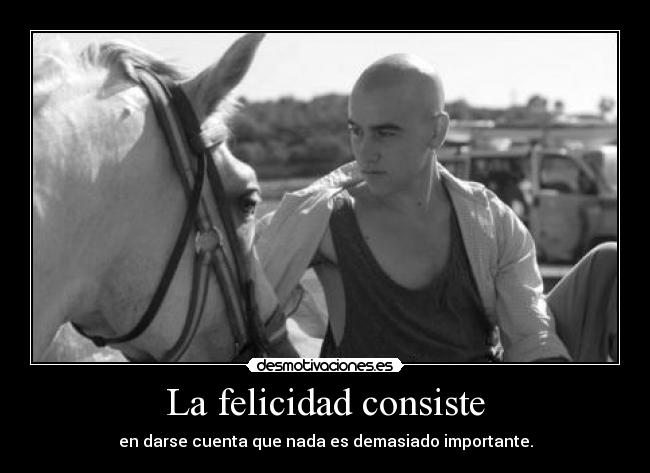 La felicidad consiste - 