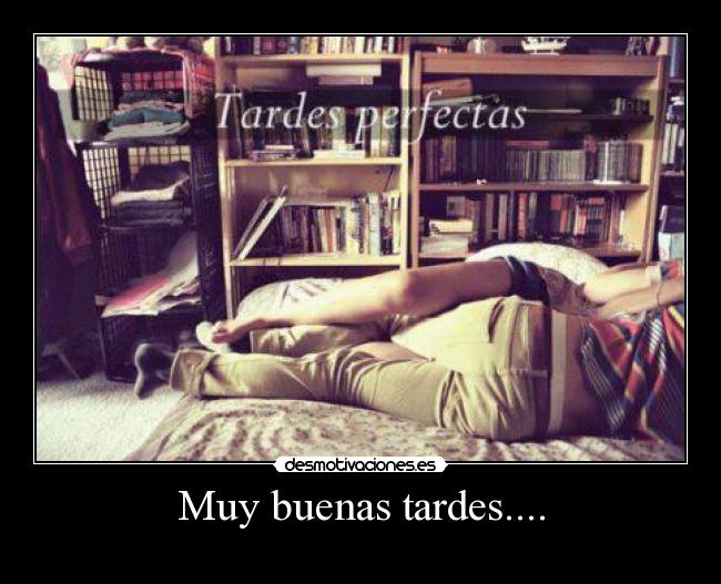 carteles muy desmotivaciones