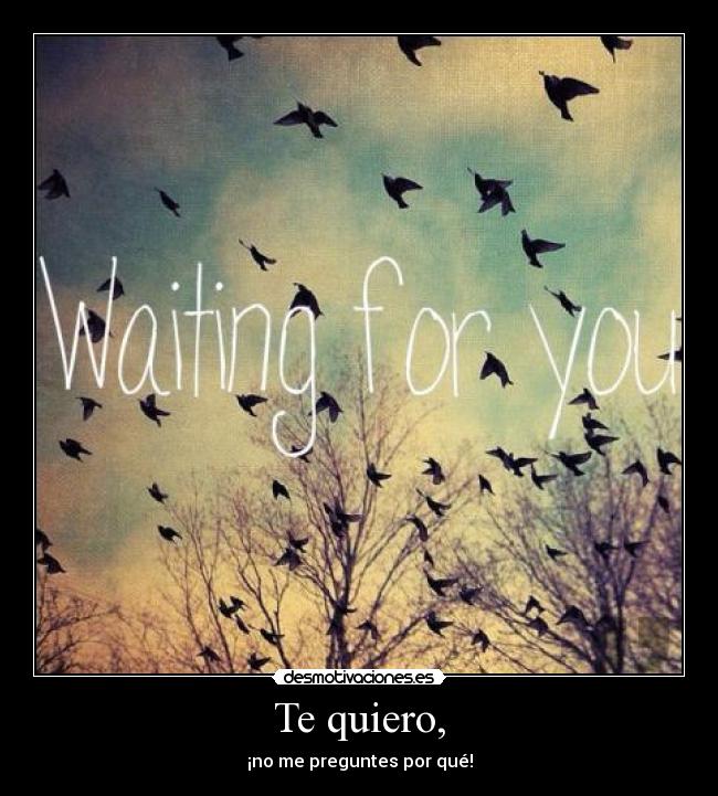 Te quiero, - ¡no me preguntes por qué!