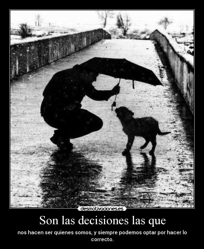 Son las decisiones las que - nos hacen ser quienes somos, y siempre podemos optar por hacer lo correcto.