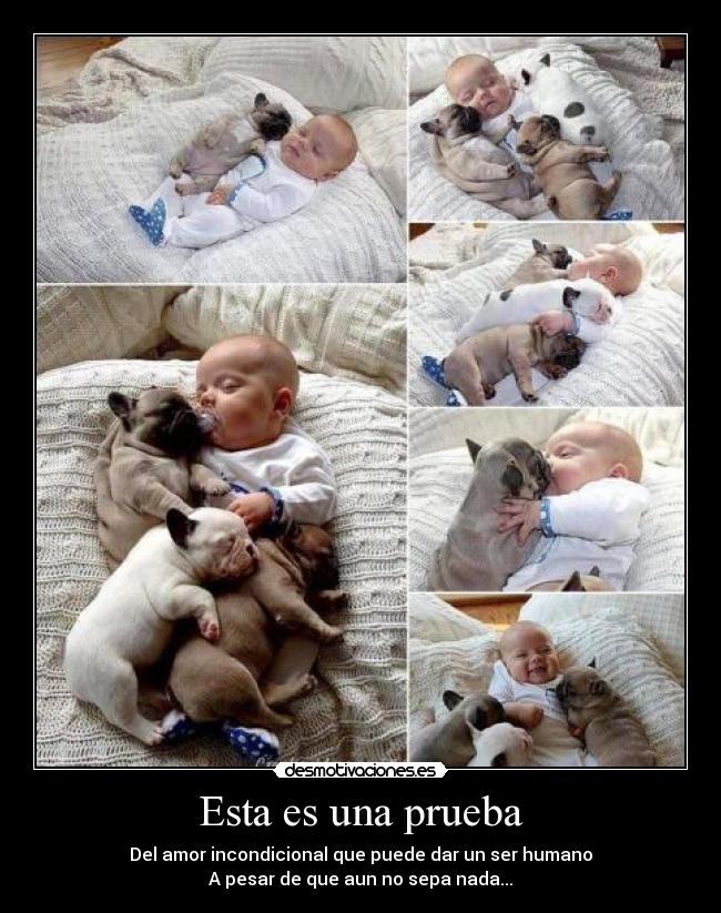 Esta es una prueba -