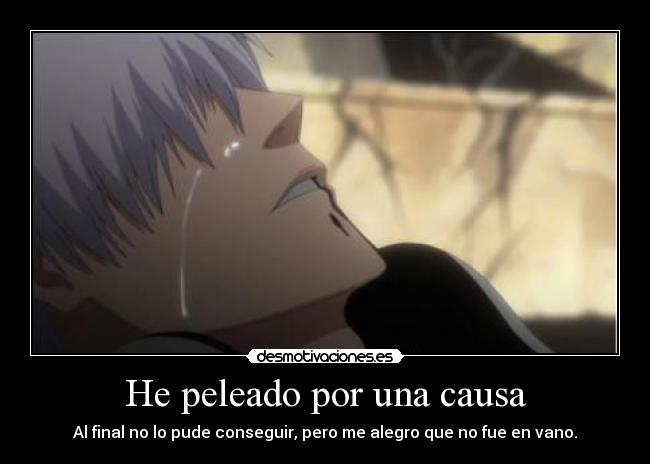 He peleado por una causa - 