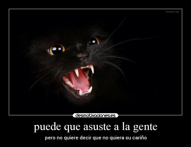 puede que asuste a la gente - pero no quiere decir que no quiera su cariño