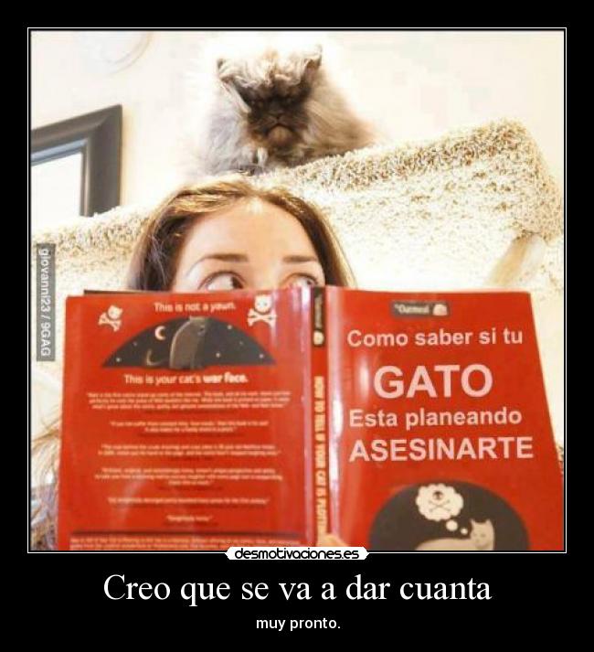 Creo que se va a dar cuanta - 