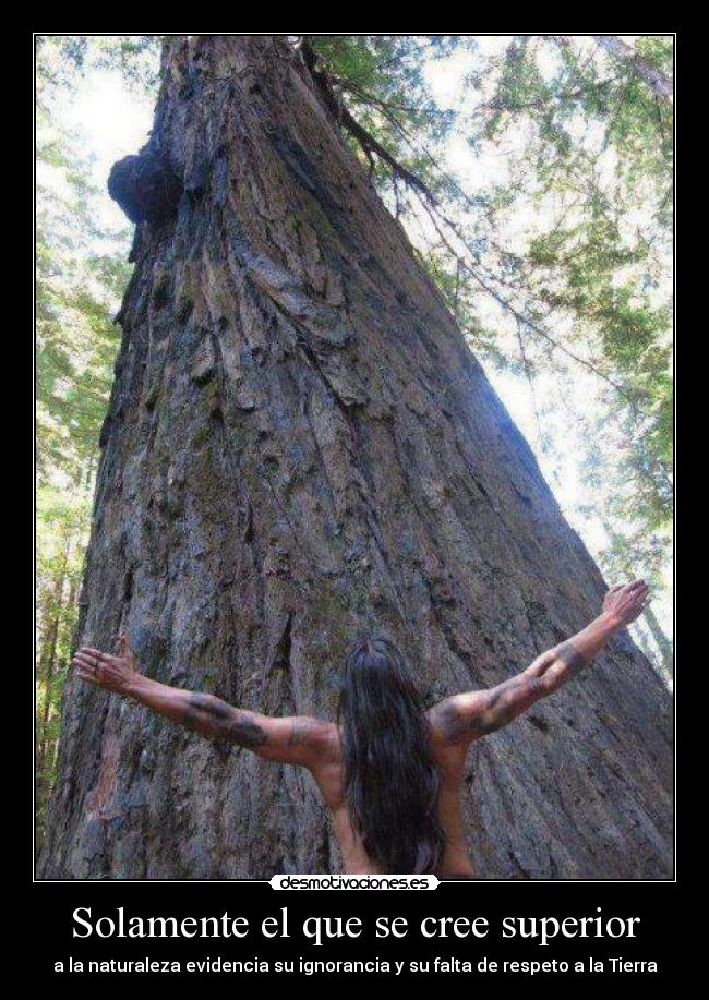 Solamente el que se cree superior -