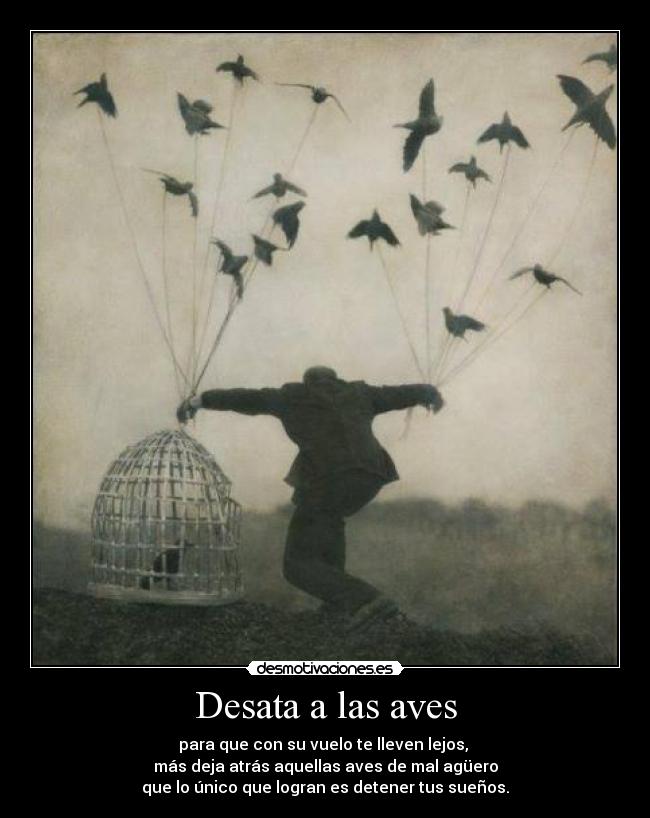Desata a las aves - para que con su vuelo te lleven lejos, 
más deja atrás aquellas aves de mal agüero
que lo único que logran es detener tus sueños.