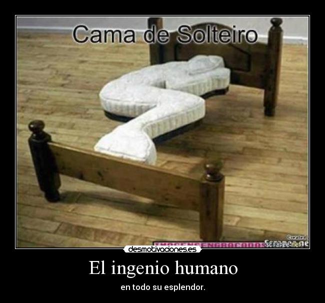 El ingenio humano - en todo su esplendor.