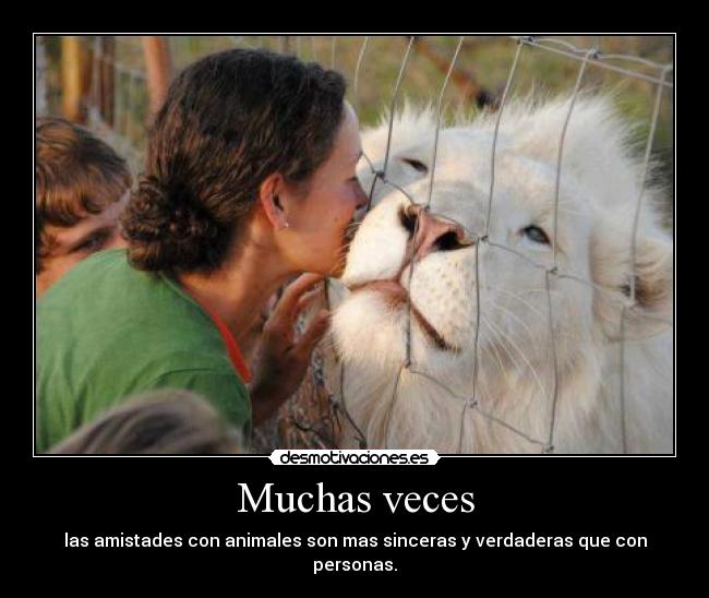 Muchas veces -