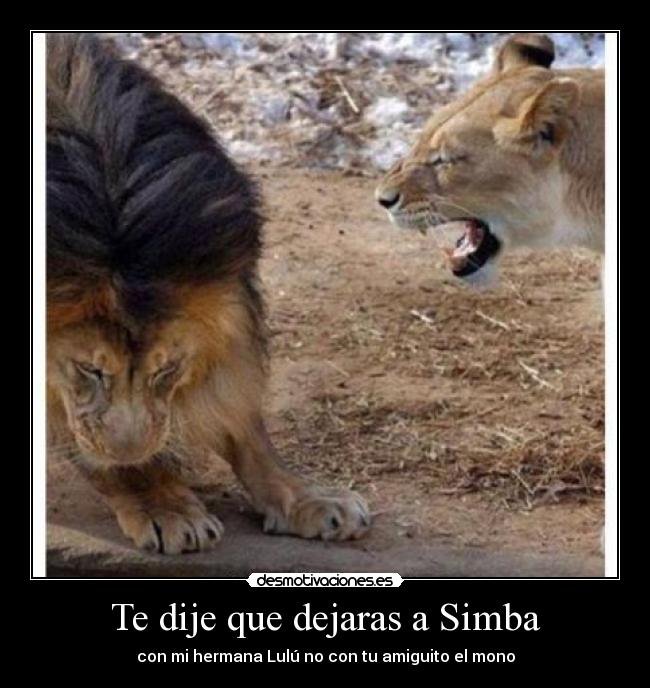 carteles dije que dejaras simba desmotivaciones