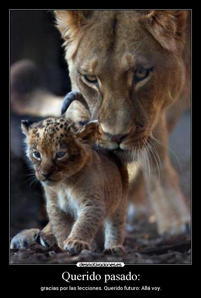 Querido pasado: - gracias por las lecciones. Querido futuro: Allá voy.