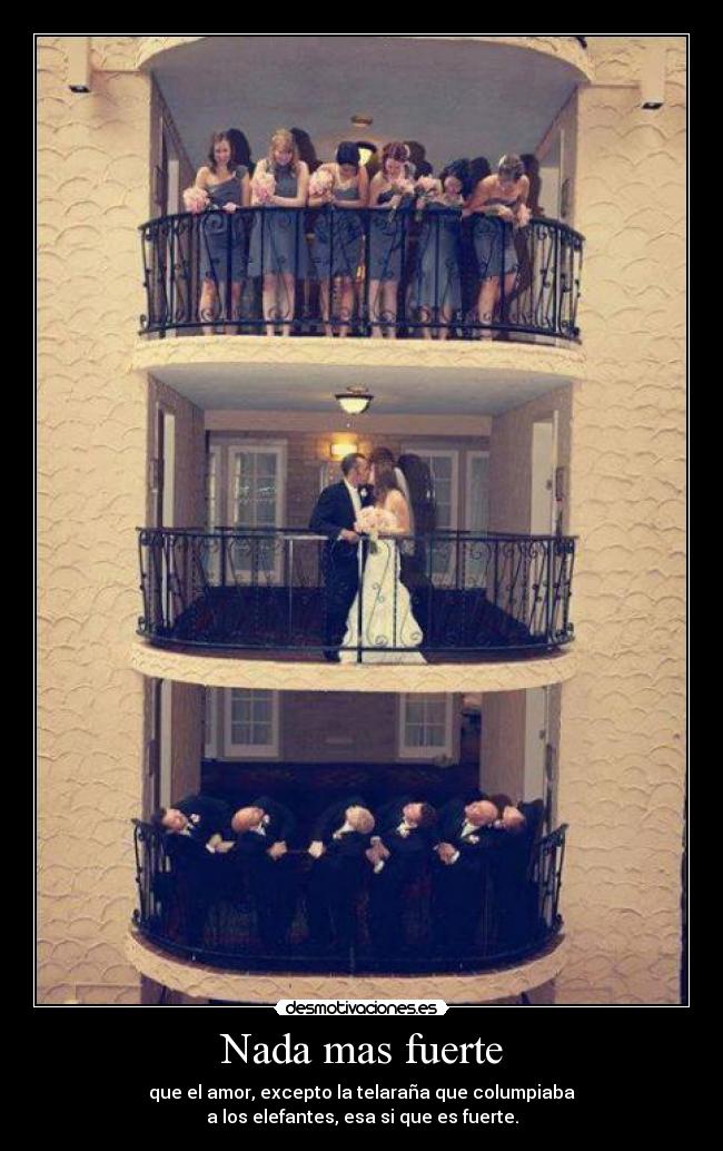 Nada mas fuerte - que el amor, excepto la telaraña que columpiaba
a los elefantes, esa si que es fuerte.