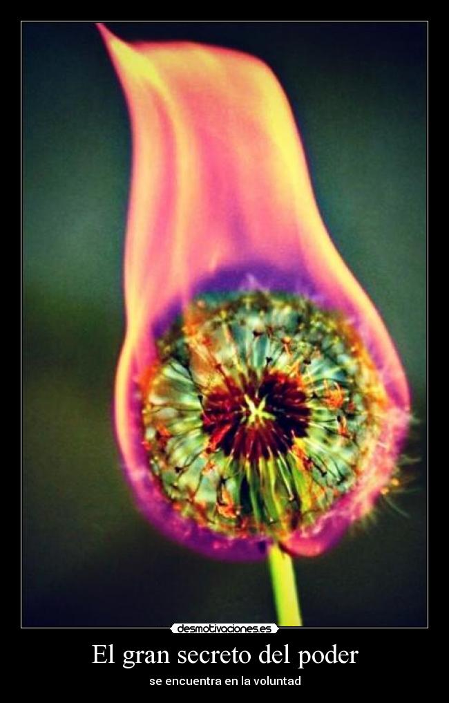 El gran secreto del poder - se encuentra en la voluntad