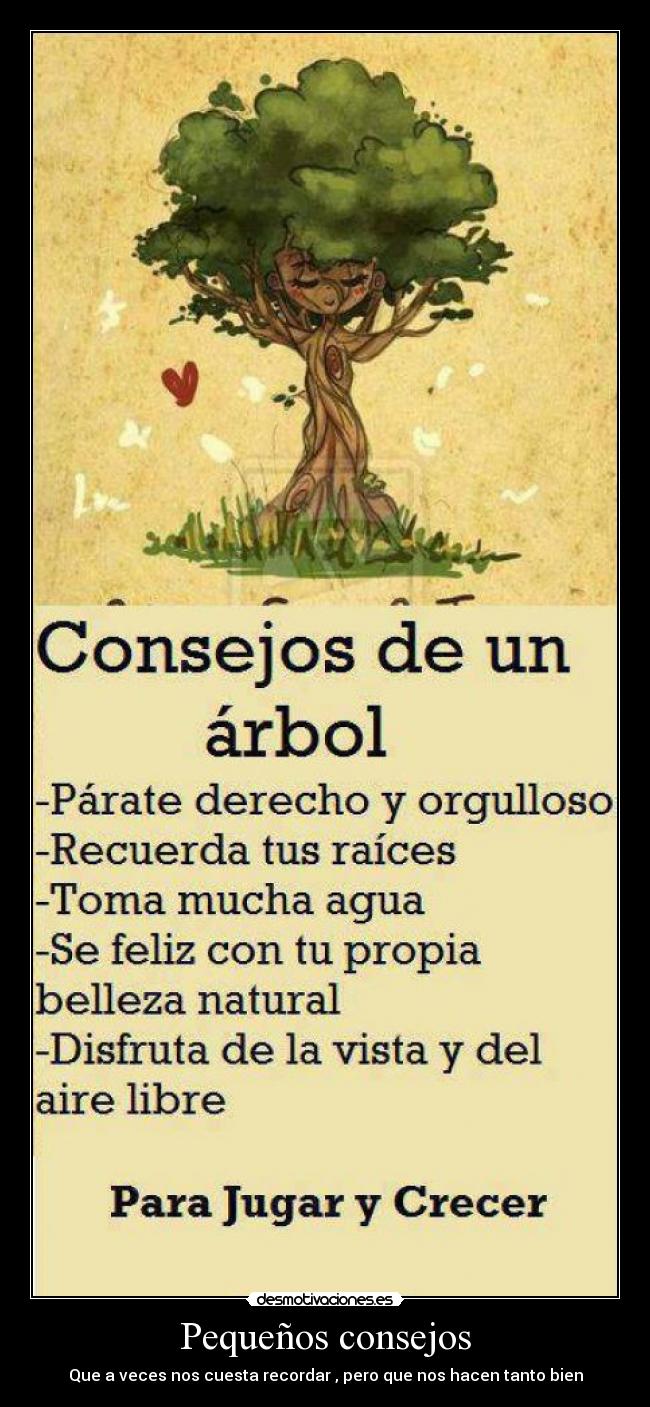 Pequeños consejos - Que a veces nos cuesta recordar , pero que nos hacen tanto bien