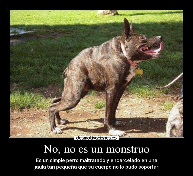 No, no es un monstruo -