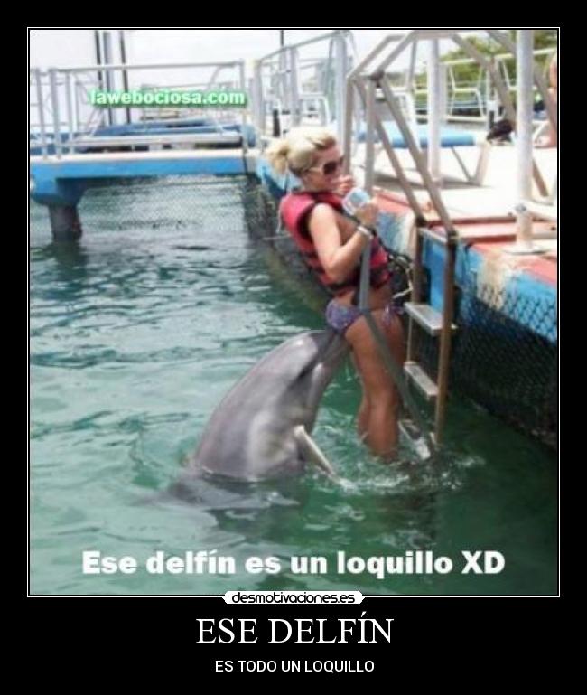 ESE DELFÍN - ES TODO UN LOQUILLO