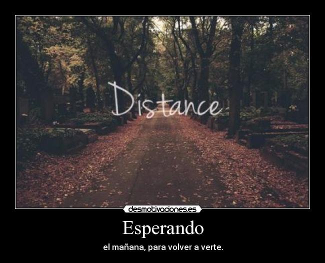 Esperando - el mañana, para volver a verte.