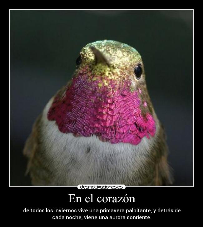 En el corazón - de todos los inviernos vive una primavera palpitante, y detrás de
cada noche, viene una aurora sonriente.