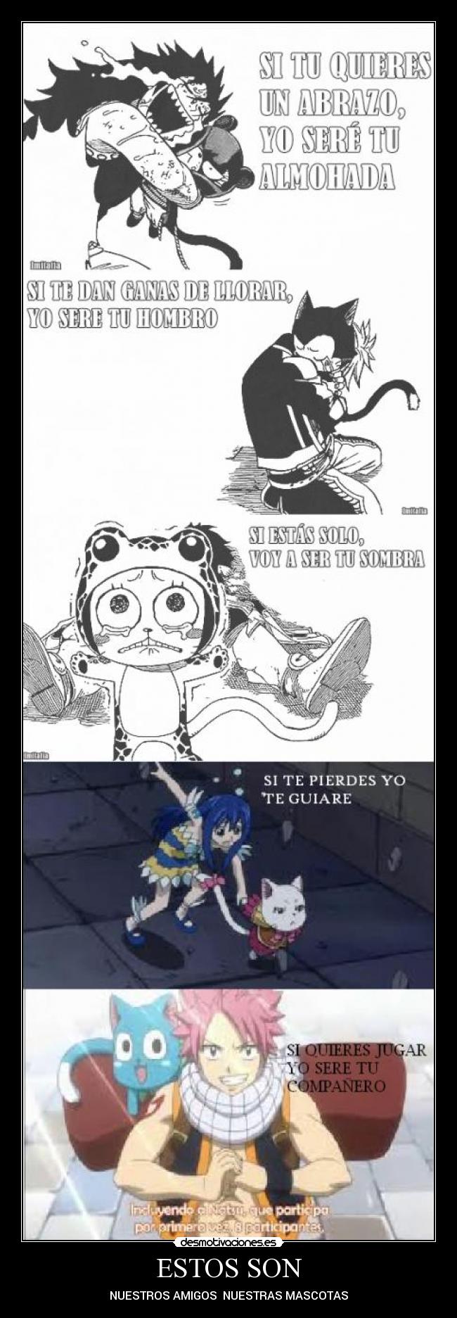 carteles fairy tail natsu happy gajeel lily wendy charle sting lector rogue frosh anime manga otaku desmotivaciones