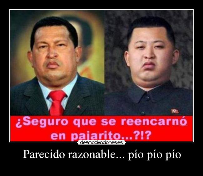 Parecido razonable... pío pío pío - 