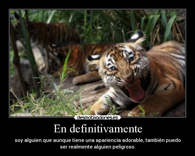 carteles tigre tierno adorable peligroso desmotivaciones