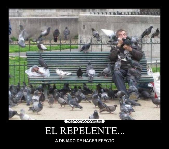 EL REPELENTE... - A DEJADO DE HACER EFECTO