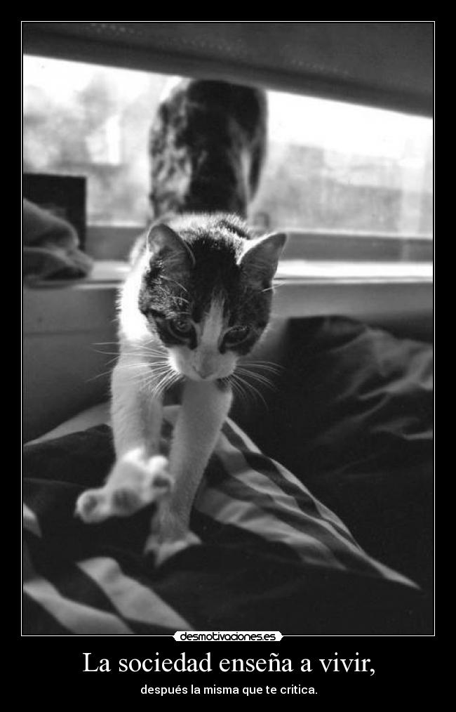 La sociedad enseña a vivir, - después la misma que te critica.