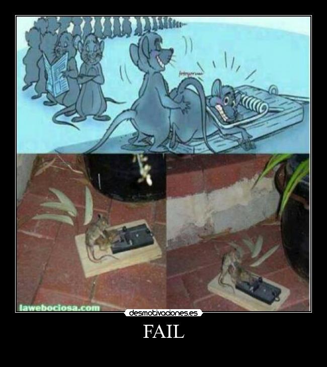 carteles fail wuinnifer silva desmotivaciones