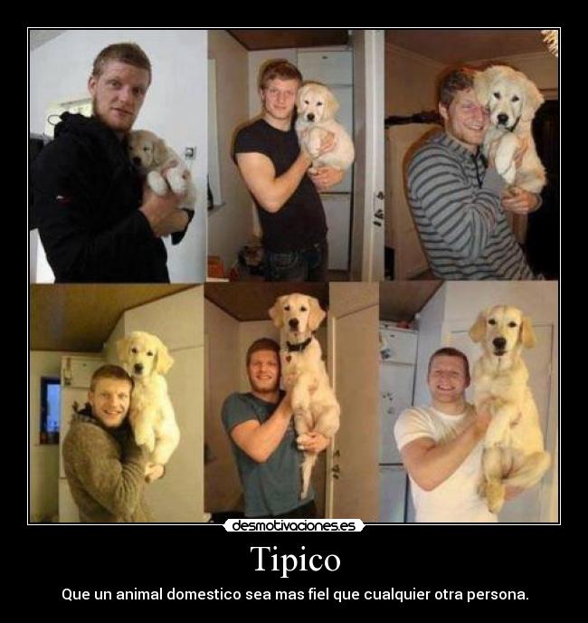 Tipico - Que un animal domestico sea mas fiel que cualquier otra persona.