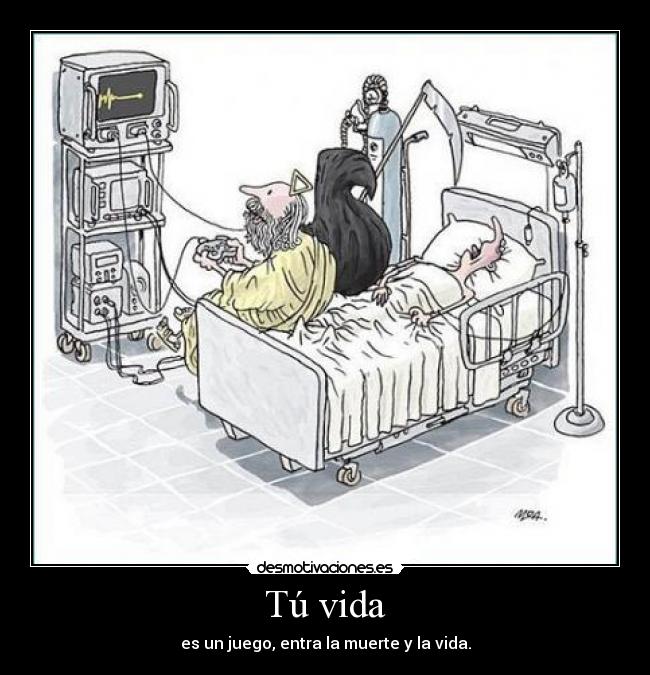 carteles vida vida desmotivaciones