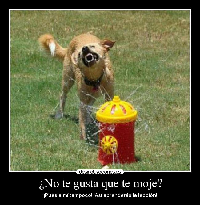 ¿No te gusta que te moje? - 