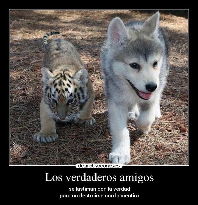 Los verdaderos amigos -