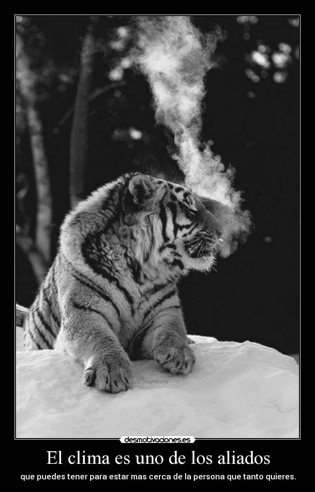 El clima es uno de los aliados -