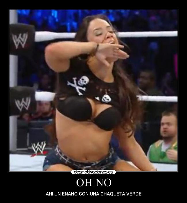 carteles wwe gay lol ajlee hornswoggle enano wrestling clanwrestling desmotivaciones