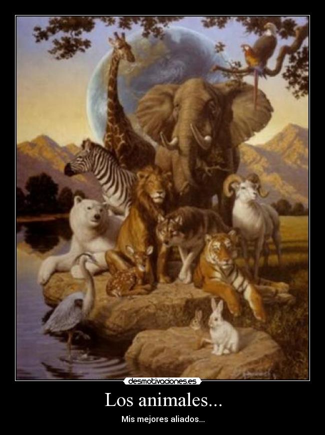 Los animales... -
