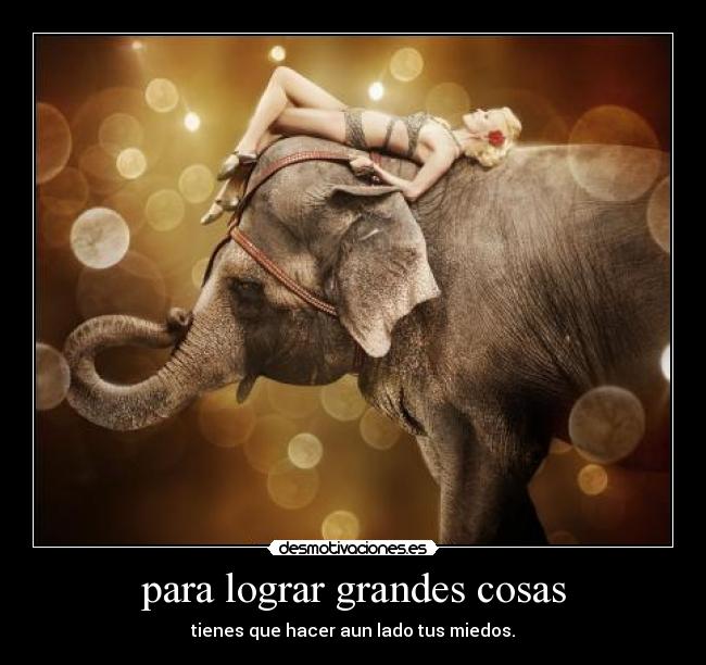 para lograr grandes cosas - tienes que hacer aun lado tus miedos.