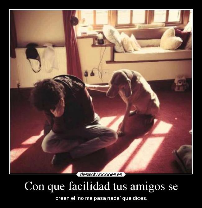 carteles amigos mentiras que todos decimos ariadnap lom desmotivaciones