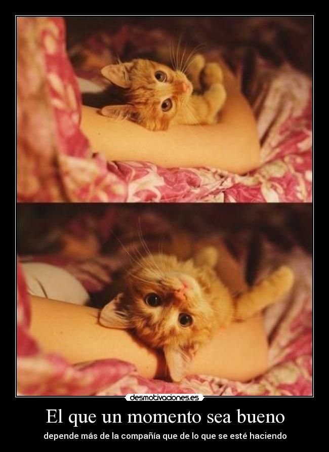 El que un momento sea bueno - depende más de la compañía que de lo que se esté haciendo